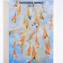 PESTICIDES IMPACT